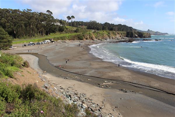 Van Damme State Park (SP) / Beach / Pygmy Forest / Fern Canyon Trail / Spring Ranch Trail - Beach (3/25/2017 - Credits: Kellen Lim)