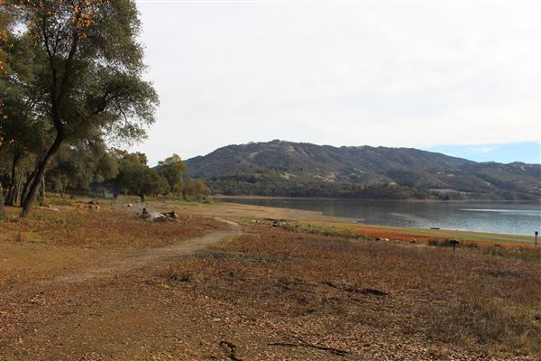 Coyote Valley Dam / Lake Mendocino - Lake Mendocino - northwestern shore (11/30/2017 - Credits: Kellen Lim)
