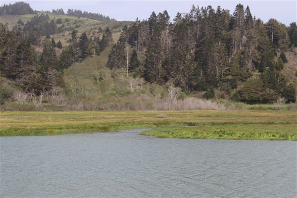 Ten Mile Estuary State Marine Conservation Area - Ten Mile River (3/29/2017 - Credits: Kellen Lim)
