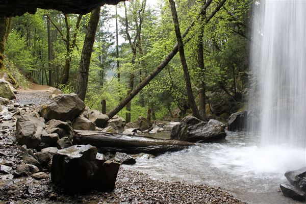 Shasta County Waterfalls (1/19/2018)
