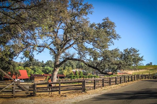 Shasta County Roads & Bridges (1/19/2018)