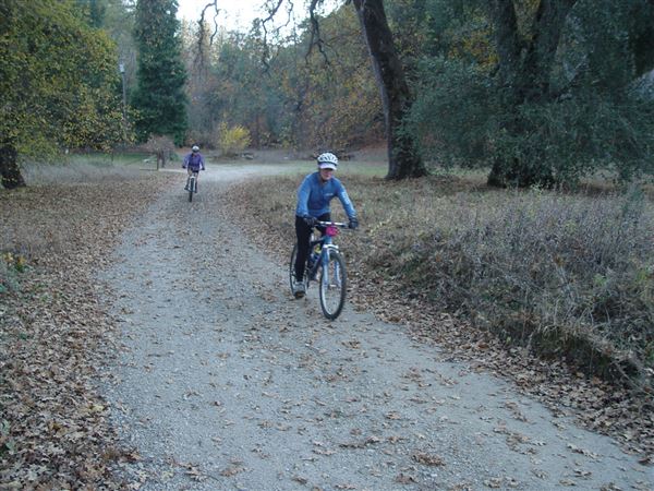 Shasta County Roads & Bridges (1/19/2018)
