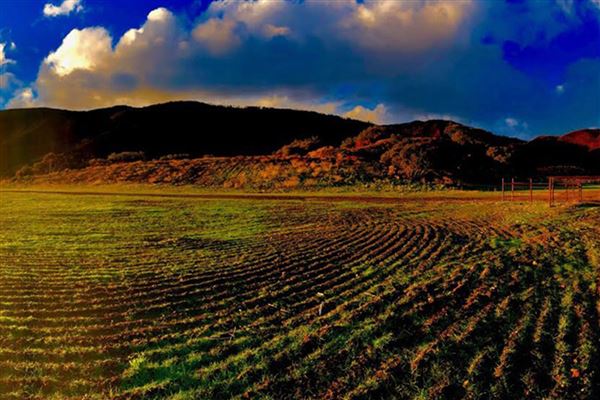 Rancho Grande (3/29/2018)