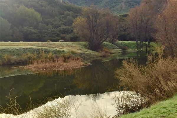 Rancho Grande (3/29/2018)