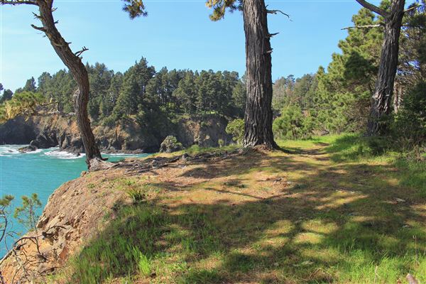 Russian Gulch State Park (SP) / Russian Gulch Bridge - Highway 1 - South Headlands Trail - Accessible from a small public parking lot at the end of Woodstock Drive and ends at campground area in park. Trail offers views of ocean from small clearings. Caution is advised when standing near cliff edge. (4/22/2018 - Credits: Kellen Lim)