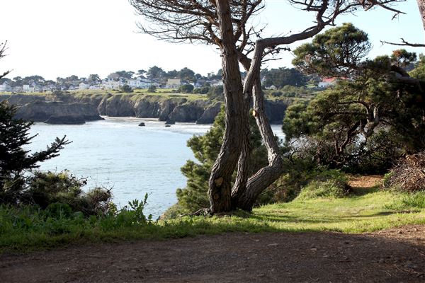 Mendocino Bay Overlook (Public Access Easement) - Overlook path entrance due south- stretches for 200-400ft back to Brewery Gulch Road (4/18/2018 - Credits: Kellen Lim)