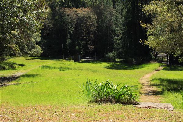 Faulkner County Park (4/19/2018 - Credits: Kellen Lim)