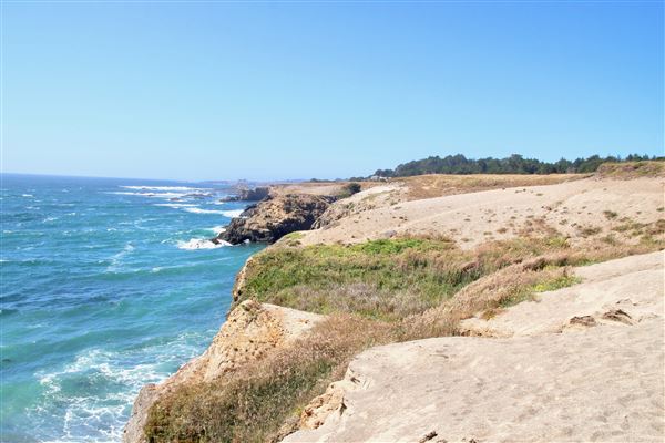 Van Damme State Park (SP) / Beach / Pygmy Forest / Fern Canyon Trail / Spring Ranch Trail - Spring Ranch Trail (7/9/2017 - Credits: Kellen Lim)