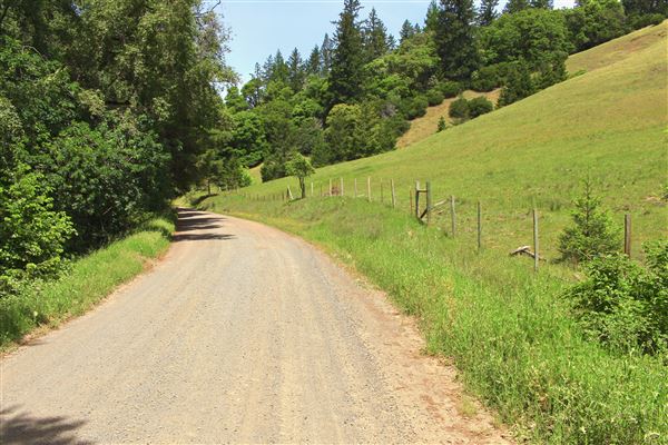 Peachland Road - Anderson Valley region- North East of Boonville, up on the ridge near a vineyard and ranch. (5/15/2018 - Credits: Kellen Lim)