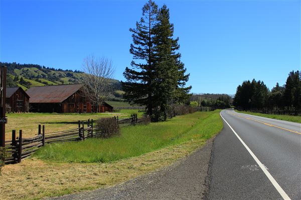 Highway 128 - Anderson Valley corridor - Highway 128 - North of Philo, Vineyards (looking southward) (3/13/2017 - Credits: Kellen Lim)