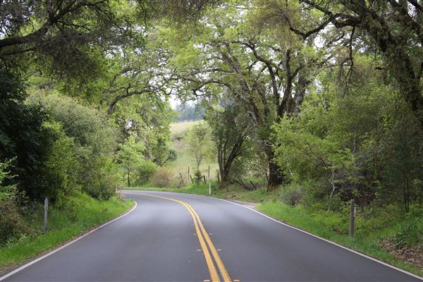 Highway 128 - Yorkville corridor - Highway 128 (4/4/2017 - Credits: Kellen Lim)