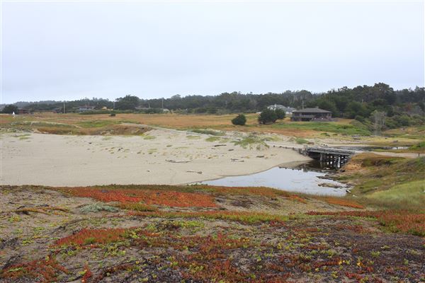 Haul Road Coastal Trail (MacKerricher State Park) (7/16/2018 - Credits: Kellen Lim)