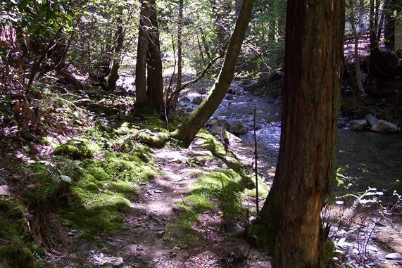 Alliance Redwoods Conference Grounds (7/25/2018)