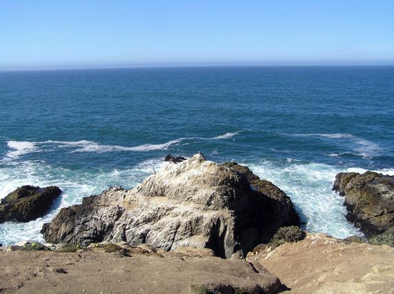 Bodega Bay Coast (7/25/2018)