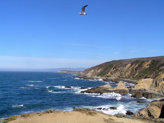 Bodega Bay Coast (7/25/2018)