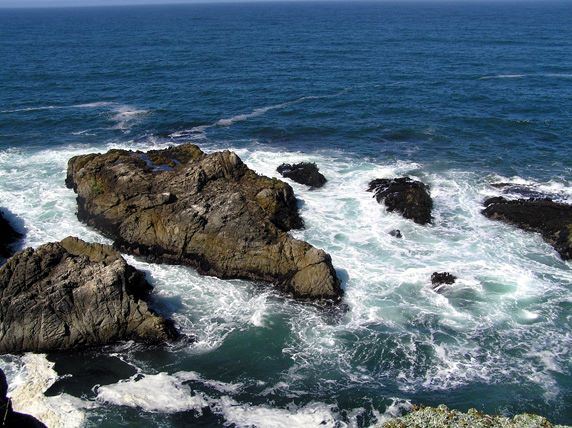 Bodega Bay Coast (7/25/2018)