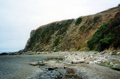 Sandy Cove Beach @ Fort Ross State Historic Park (SHP) (7/25/2018)