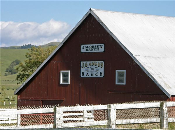 J G Angus Ranch (7/25/2018)