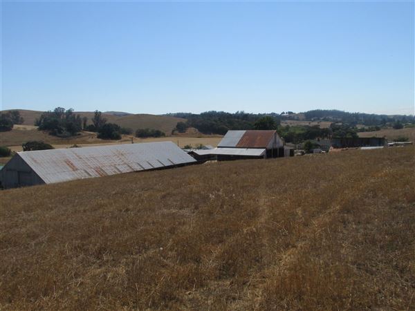 Maffia Dairy Ranch (7/25/2018)