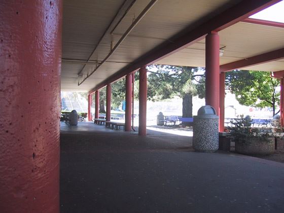 Petaluma High School (7/25/2018)