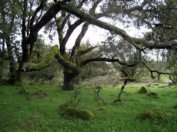 Tom Scott Ranch (7/25/2018)