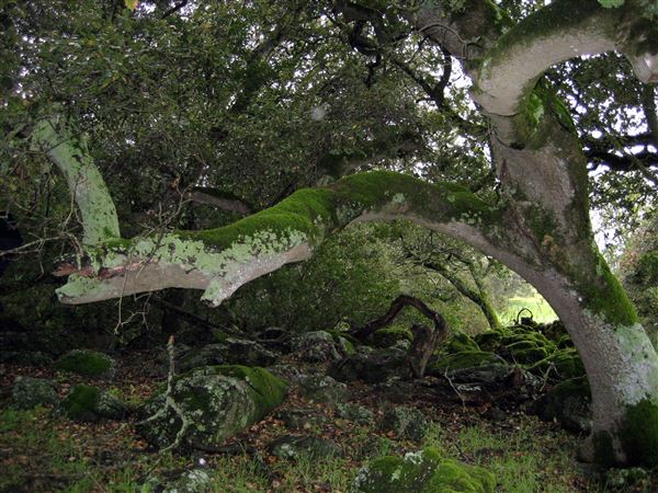 Tom Scott Ranch (7/25/2018)