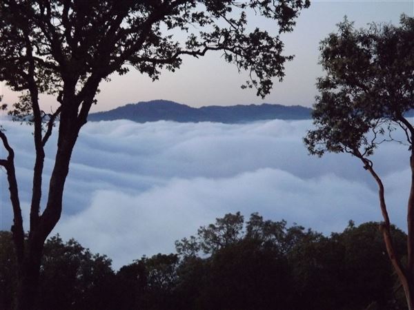 Sonoma Mountain Vista Estate (7/25/2018)