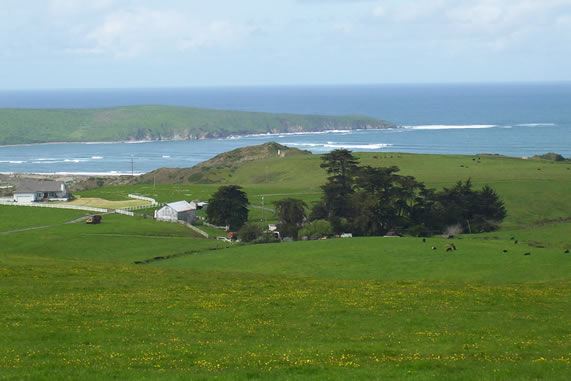 Tomales Rd (7/25/2018)