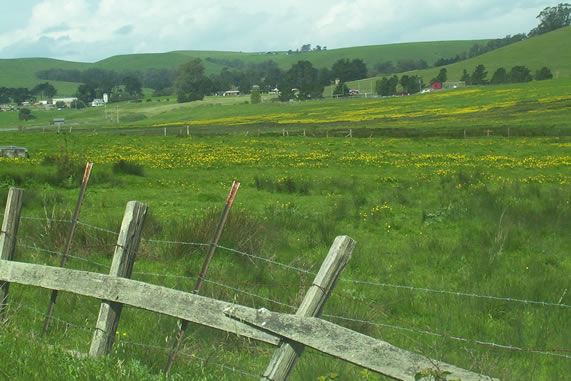 Tomales Rd (7/25/2018)