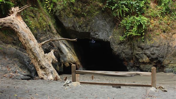 Little River Blowhole Trail - Little River - Blowhole Trail (8/6/2018 - Credits: Kellen Lim)