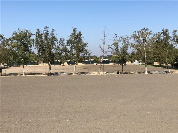 Hansen Dam Horse Park (8/9/2018 - Credits: Vernell Carranza)