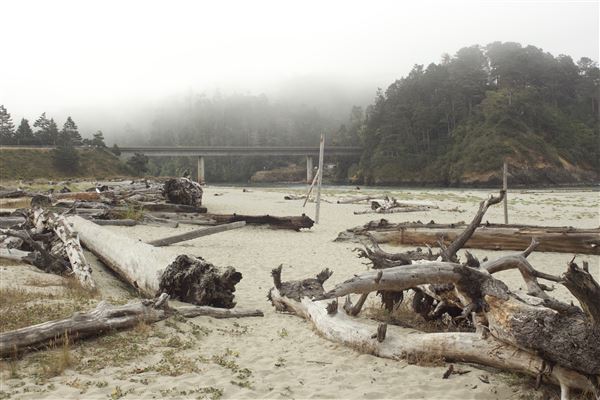 Big River Beach @ Menodocino Headlands State Park  (SP) (7/24/2018 - Credits: Kellen Lim)