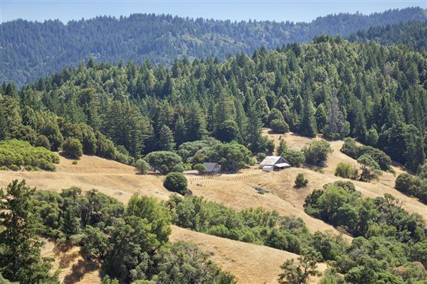 Mountain View Road - Mountain View Road - view of road along abandoned Mt. View Ranch (8/1/2018 - Credits: Kellen Lim)