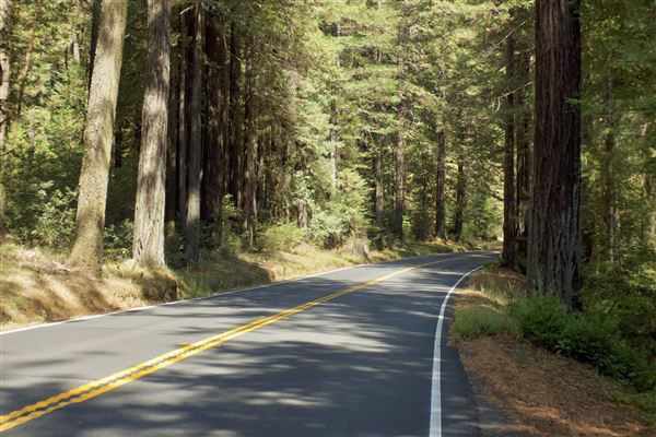Highway 20 - Fort Bragg-Willits Rd. (9/3/2018 - Credits: Kellen Lim)