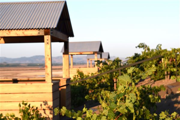 Viansa Sonoma Winery (2/26/2019 - Credits: Claire Dailey)