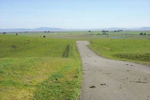 Cougar Mountain Drive (12/31/2003)