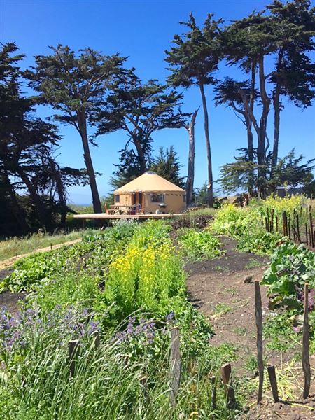 Wavelength Farm - Actual date taken unknown. (4/2/2019 - Credits: Renee Bertrand)