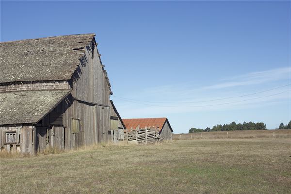 Historic Barns at Spring-Ranch Preserve located in Van Damme State Park (SP) (11/6/2018 - Credits: Kellen Lim)