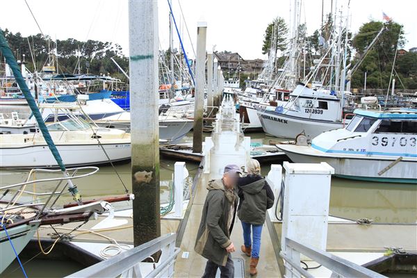 Noyo Harbor District (1/18/2019 - Credits: Kellen Lim)