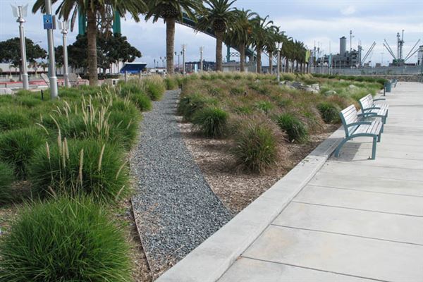 Port of Los Angeles - POLA / West Harbor / AltaSea Research Campus / Wilmington Waterfront Promenade (6/1/2019 - Credits: LocoScout)