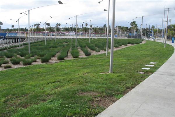 Port of Los Angeles - POLA / West Harbor / AltaSea Research Campus / Wilmington Waterfront Promenade (6/1/2019 - Credits: LocoScout)