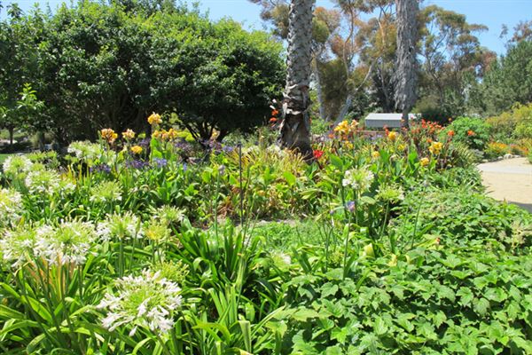 South Coast Botanic Garden (6/1/2019 - Credits: LocoScout)