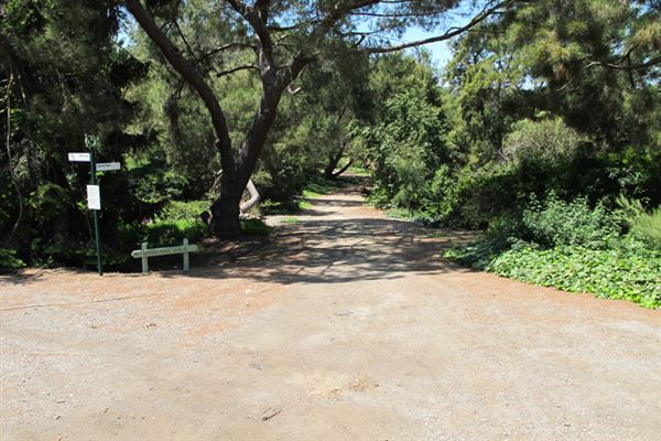 South Coast Botanic Garden (6/1/2019 - Credits: LocoScout)