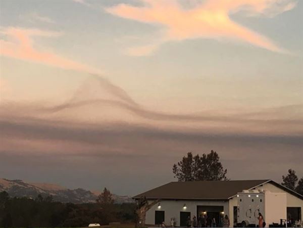 Luna Lavender Farms (9/23/2019 - Credits: Ken Flask)