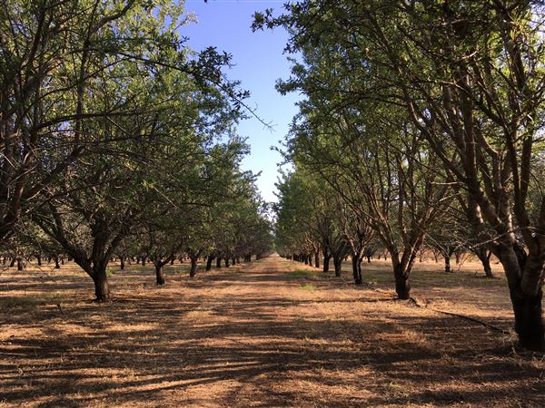 Isquierdo Ranch (3/4/2017 - Credits: Desi Isquierdo)