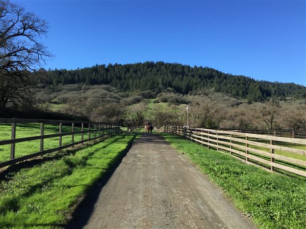 Alpine Ranch (10/20/2019 - Credits: Caitlin O Reilly / Marcel)