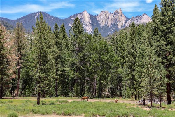 Peppermint Falls Ranch - Little Yosemite Valley - Peppermint Falls Ranch Waterfall (5/31/2020)