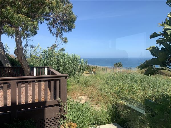 Tropical San Pedro @ Point Fermin Lands End - Unobstructed Panoramic Pacific Ocean Views of Catalina Island (9/19/2020 - Credits: None, I took this photo myself of my own property)