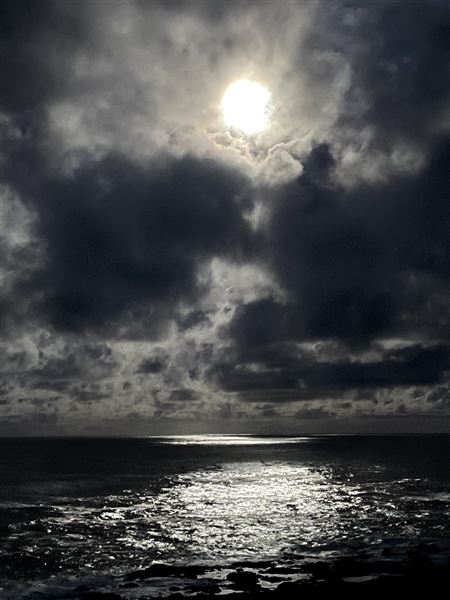 Granite Cove Big Sur (2/11/2021)