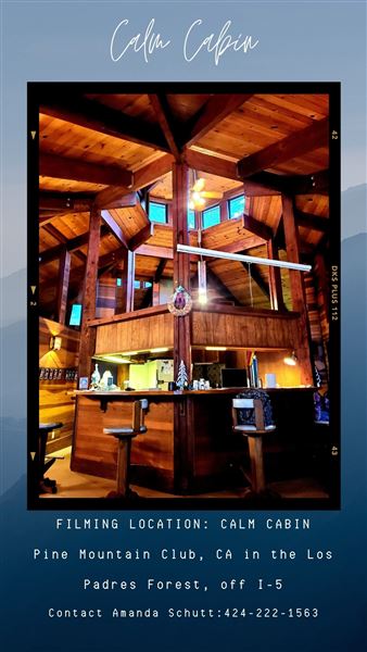 Calm Cabin: Retro Mountain Forest Home - Pine Mountain Club (9/13/2021 - Credits: self)